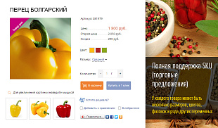 Продукты питания, товары повседневного спроса, бытовая химия (MarketPRO) (рус. + англ.)